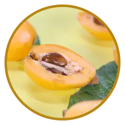 img-ingredient-7